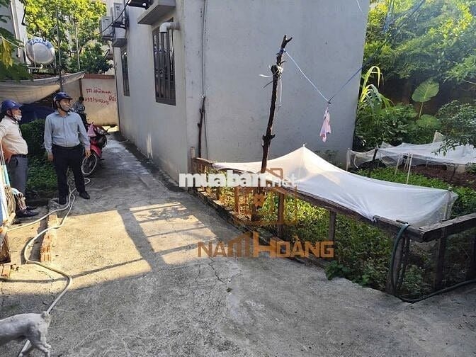 Đất lô góc đẹp vuông vắn 30,2m,50m ra đường o to Biên giang