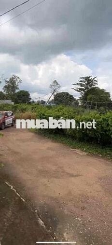 Chuyển nhượng cơ hội sinh lời với đất 2 mặt tiền xã Bàu Cạn Long Thành