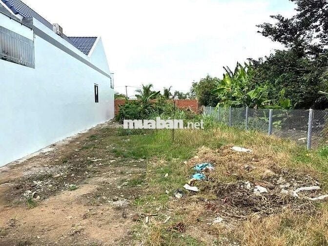 Đất cách UBND Cần Đước 300m , thổ cư 120m2, 536tr chốt sang tên