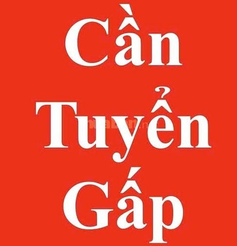 CẦN TUYỂN GẤP LAO ĐỘNG PHỔ THÔNG ĐÓNG GÓI CAFÉ ( TUYỂN TRỰC TIẾP )
