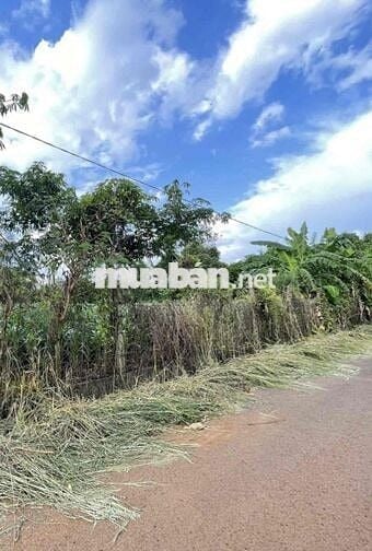 🏡 CHÍNH CHỦ CẦN BÁN ĐẤT TẠI XÃ CẨM ĐƯỜNG – LONG THÀNH – ĐỒNG NAI 🏡  📍