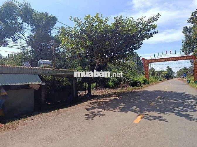 Thanh lý đất thổ cư bám mặt tiền đường 15m dài 50m giá 1 tỷ050