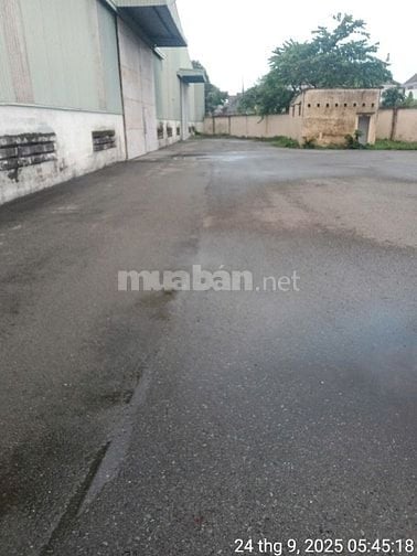 Nhà Xưởng kho ngay mặt tiền đường 70m. Diện tích 7.990 m2