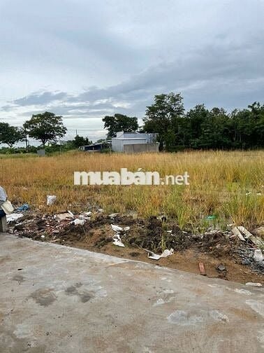 Đất cách SG 30km, 490 triệu/180m2, ngay TP Gò Công. SHR, thổ cư
