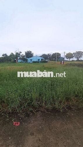 Bán gấp lô đất ngộp diện tích khủng đã lên thổ xây dựng thoải mái