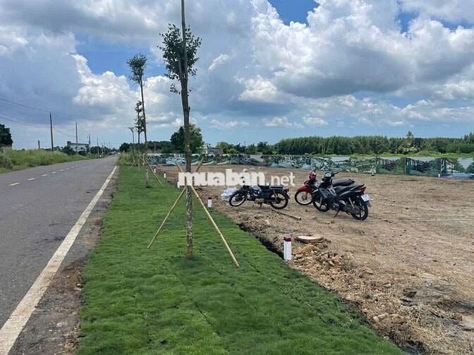 Chủ gửi bán lô đất Long Tân, Đất Đỏ, Bà Rịa Vũng Tàu