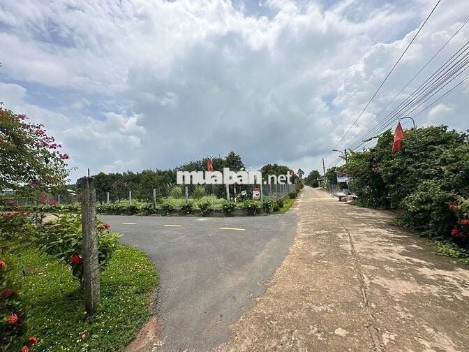 💥Bán nhanh đất mặt tiền DH507–250m² chỉ 420tr, sổ riêng, thổ cư 100m²!