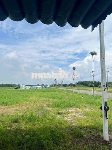 Cần Bán Gấp Lô Đất tại Long Tân - Bà Rịa Vũng Tàu- SHR