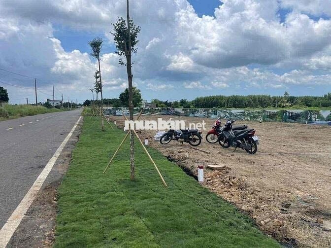 Chủ gửi bán lô đất ở Long Tân, Đất Đỏ, Bà Rịa Vũng Tàu