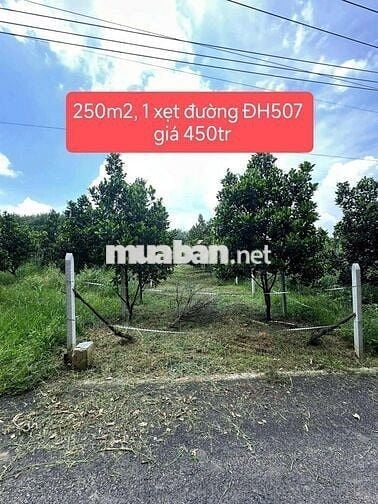 Đất 250m2, 1 xẹt đường ĐH507 450tr