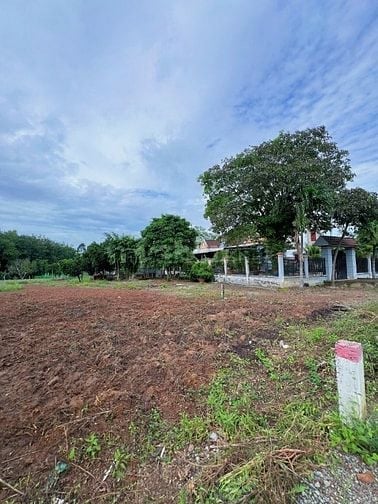 Bán gấp lô đất mặt tiền DH507 – 500m² chỉ 800 triệu, sổ sẵn, lợi nhuận