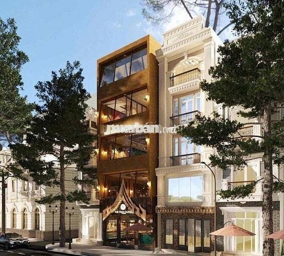 Siêu Phẩm 5 Tầng Mặt Tiền Nguyễn Công Trứ - Quận 1