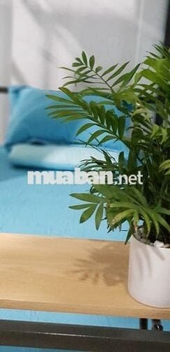 KTX cho Nam, Nữ SV và Người đi làm Vị trí vàng tại Q.1