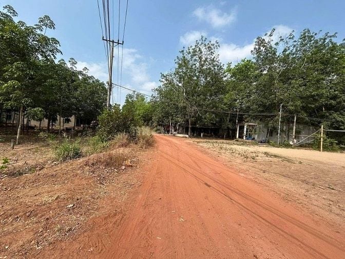Đất xào ngộp 1455m2 /670tr  sát bên Trung Tâm Xả Phước Thành Phú Giaó 