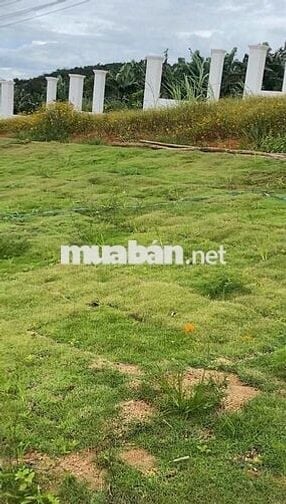 Bán DN Lộc Đức, Bảo Lâm, Lâm Đồng, 810 triệu, 157.1m2