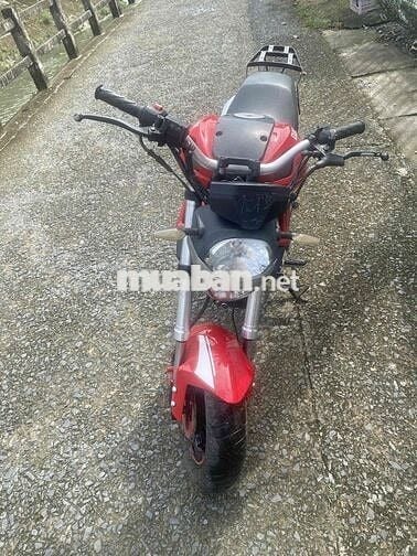 🌈 Ducati Monter Mini 2021