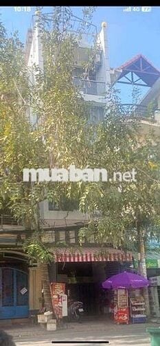 Bán nhà đường nhánh kinh doanh CHDV Cao Lỗ P4 Q8