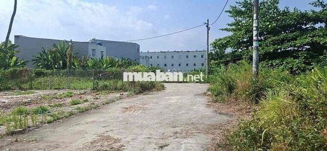 CHÍNH CHỦ CẦN BÁN 2 LÔ ĐẤT 1/ THẠNH XUÂN 52