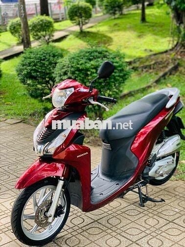 vision biển 60