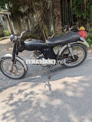 Honda 67