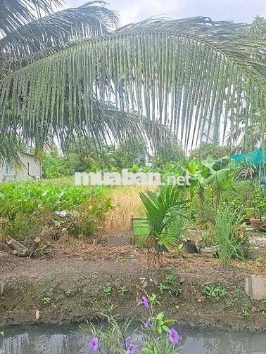 ĐẤT FULL THỔ CỰC HIẾM – THẠNH XUÂN 33 – 200m² – GIÁ CHỈ 7.3 TỶ