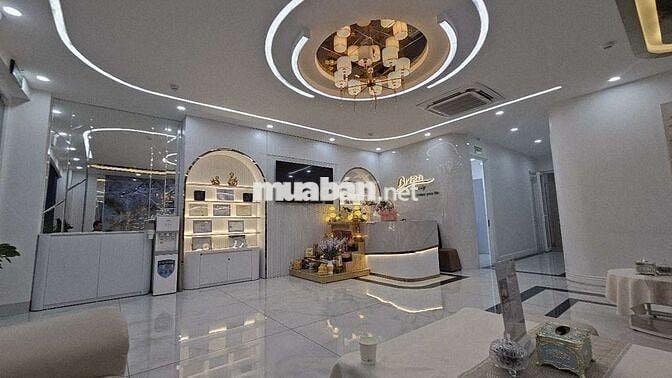 145m2 9 tầng mặt 7,1m 109 Tỷ Quan Hoa Cầu Giấy