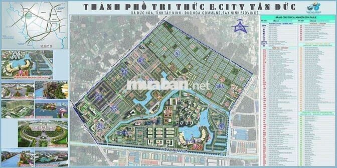 🌿 E.City Tân Đức – Nơi an cư lập nghiệp, đầu tư sinh lời bền vững 🌿