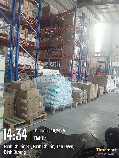 LAO ĐỘNG PHỔ THÔNG TẠI QUẬN 6, BÌNH CHUẨN, BIÊN HÒA