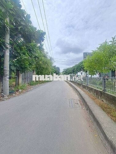 Đất thổ cư 200m2 (7,5x30) hẻm 6m Thạnh Xuân 33,Quan 12 chỉ 7,3T