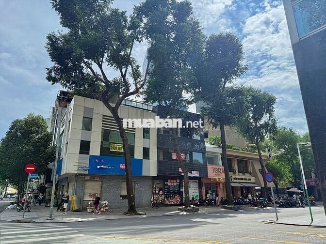 CHO THUÊ NHÀ HỒ TÙNG MẬU. P, BẾN NGHÉ. QUẬN 1