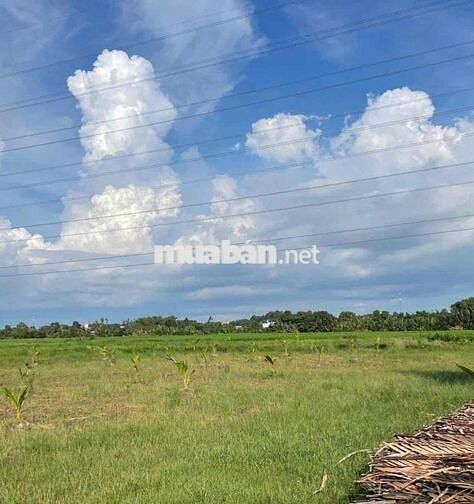 🌟 BÁN ĐẤT XÃ PHÚ ĐÔNG – NHƠN TRẠCH, ĐỒNG NAI 🌟  📍 Vị trí: Xã Phú Đông,