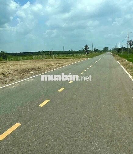 Cần bán lô đất mặt tiền đường nhựa tại Long Tân - Đất Đỏ.
