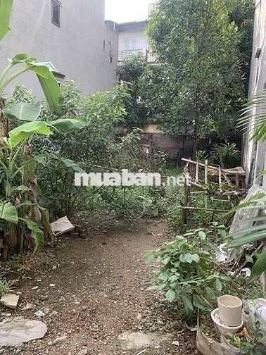 Đất Liên Mạc - 52m2 - ngõ ba gác - giá đầu tư