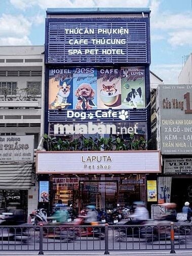 Nhà Đẹp Mặt Tiền Bạch Đằng – Trung Tâm Thương Mại Sôi Động Bình Thạnh