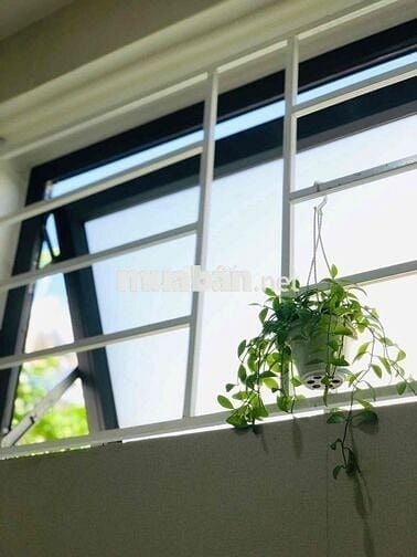 cho thuê nhà nguyên căn phường Hiệp Thành