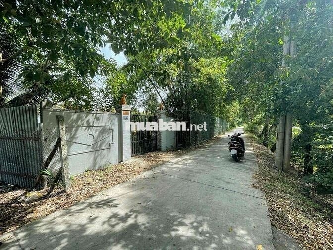 1500m2 ĐẤT THỔ CƯ + 4 NHÀ CẤP 4 – NGAY CHÂN CẦU QL50, BÌNH CHÁNH