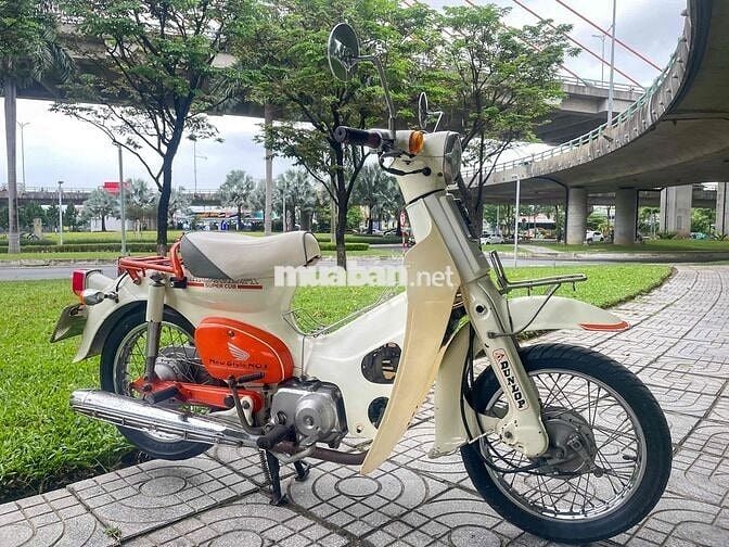 💥Cup Nhật 50cc  không cần bằng lái