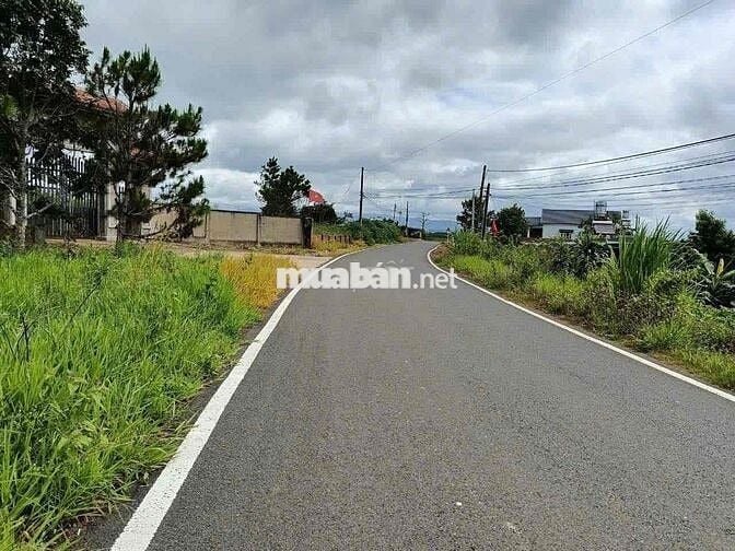 Bán Lô Đất Mặt Tiền Tôn Đản P2 (Dambri cũ) Bảo Lộc ngay Lý Thái Tổ