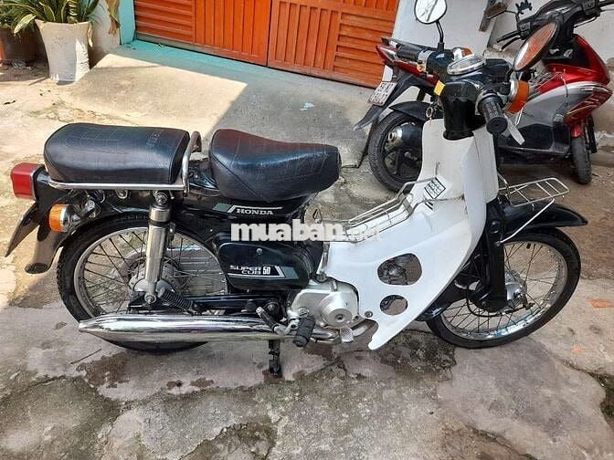 Honda cup 81.50cc