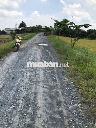 Cần bán lô đất vườn 918m2, sổ sẵn sang tên công chứng ngay 1.5 tỷ