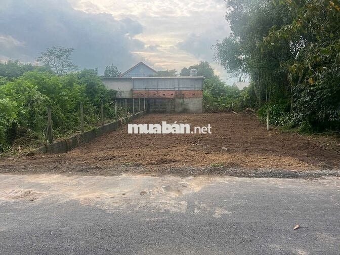 Đất mặt tiền đường nhựa 492 - Phạm Văn Cội : 230m2 - Giá 1 tỷ 550