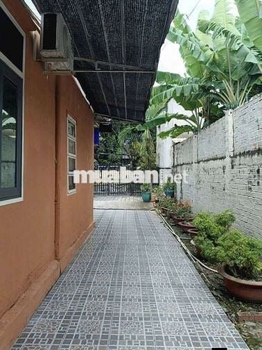 Cho thuê nhà liền kề gần becamex