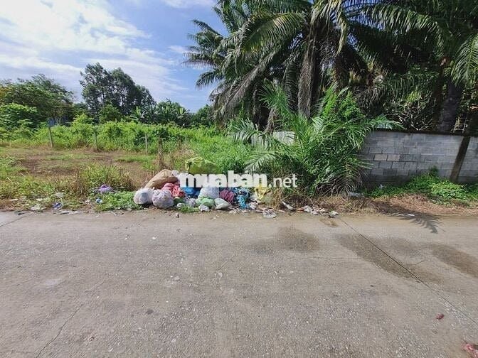 Đất 1/ Nguyễn Thị Rành - Củ Chi : 117m2 ( 5x23 ) . Giá 1 tỷ 300 triệu