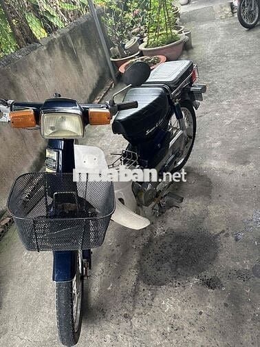 Cub 49cc Học Sinh
