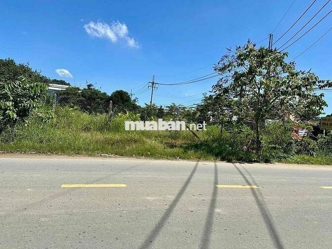 🌿 BÁN ĐẤT VỊ TRÍ ĐẸP – MẶT TIỀN TỈNH LỘ 2 (Trung Lập Hạ, Củ Chi) 🌿