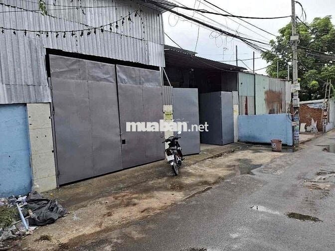 CẦN CHO THUÊ KHO XƯỞNG 6x50 VĨNH LỘC A