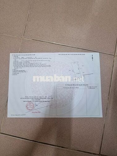 BÁN ĐẤT ĐƯỜNG ĐẶNG XUÂN BẢNG, KP SUỐI NHUM, PHƯỜNG TÂN THÀNH, TP.HCM