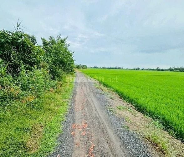 Chính chủ bán đất mặt tiền 83m Rạch Dung, Mỹ Khánh, Long Xuyên 5.040m2