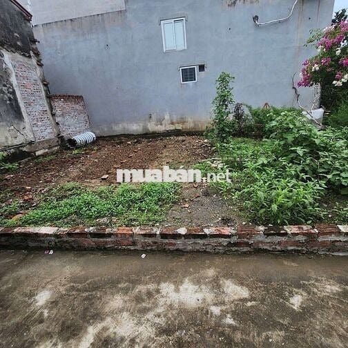 Chính chủ cần tiền bán đất ~50m2  Phường Chương Mỹ- HN - Miễn MG- TG