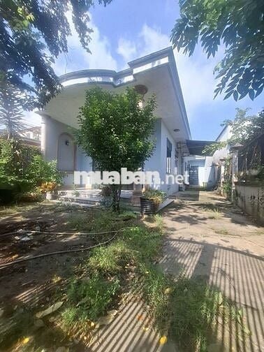 CHO THUÊ NHÀ PHƯỜNG HOÁ AN GIÁ 5 TRIỆU